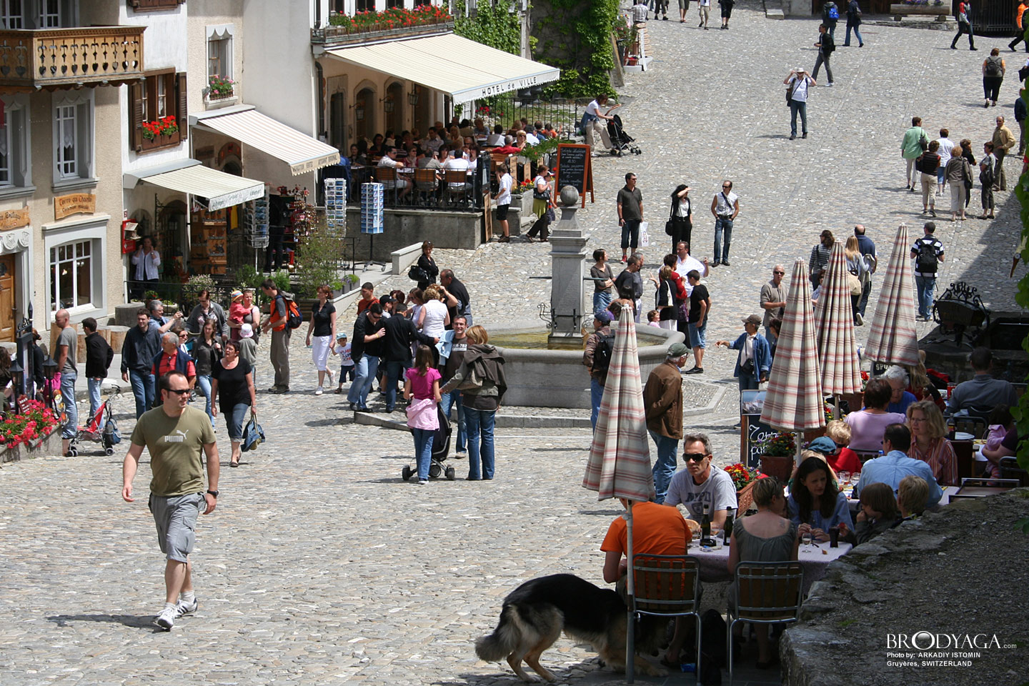 Gruyeres